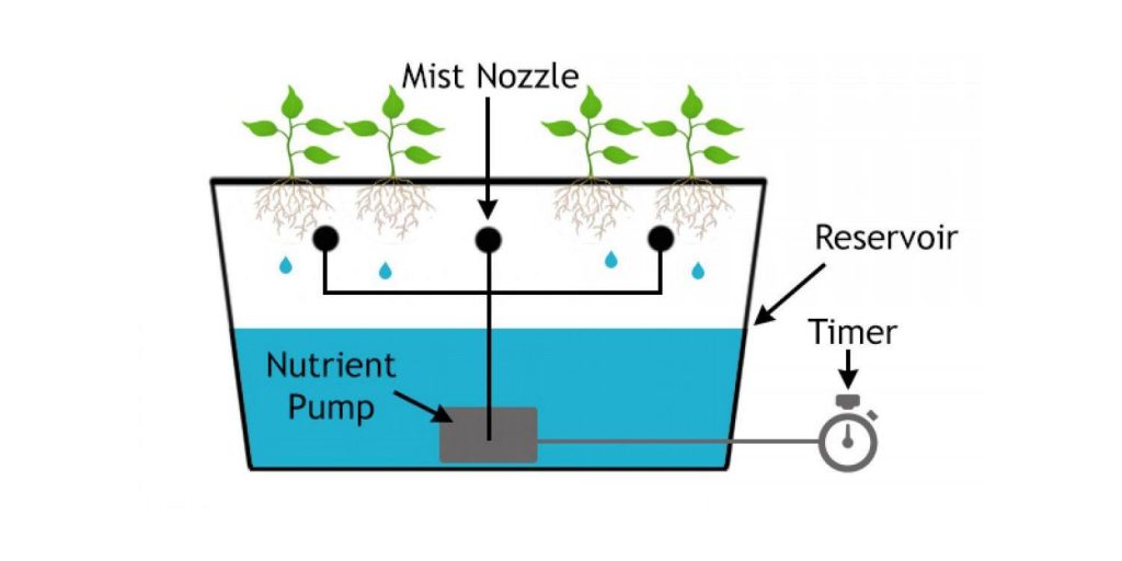hydroponic systems how they work and how to build your own