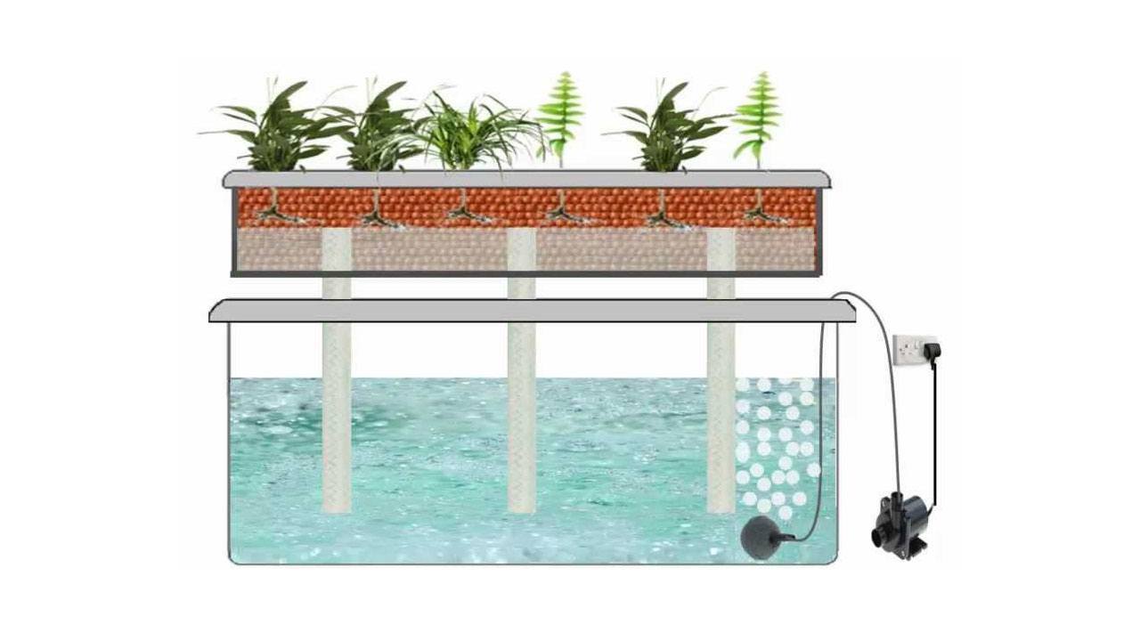 Drip aquaponics setup How to Start a Home Plant Nursery