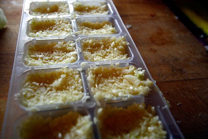 Freezing chopped garlic