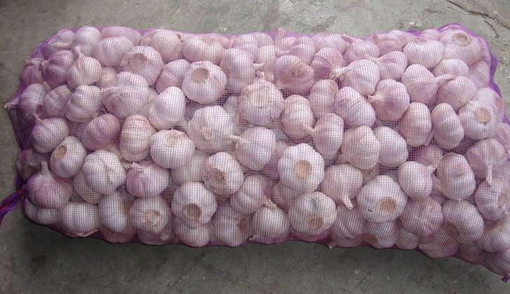 Storing garlic in mesh produce bags