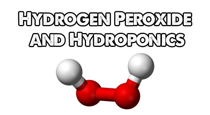 Hydrogen Peroxide (H2O2) and Hydroponics | Epic Gardening | Epic Gardening