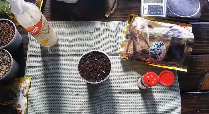 Materials for growing kale microgreens