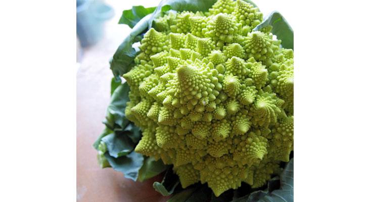 August Broccoli