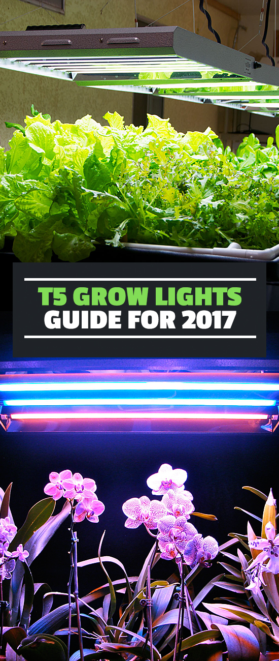 In this T5 grow light guide, learn which T5 grow lights are the best, why they're a good choice for your garden, and how to pick the right one.