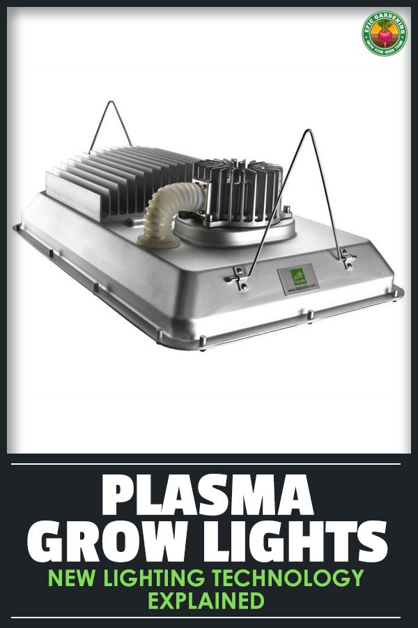 Plasma grow lights are the new hot indoor lighting product. Are they worth the money? Find out in this in-depth plasma light review.