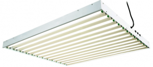 An example of a T5 fixture with 12 bulbs.