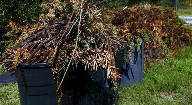 Yard Waste