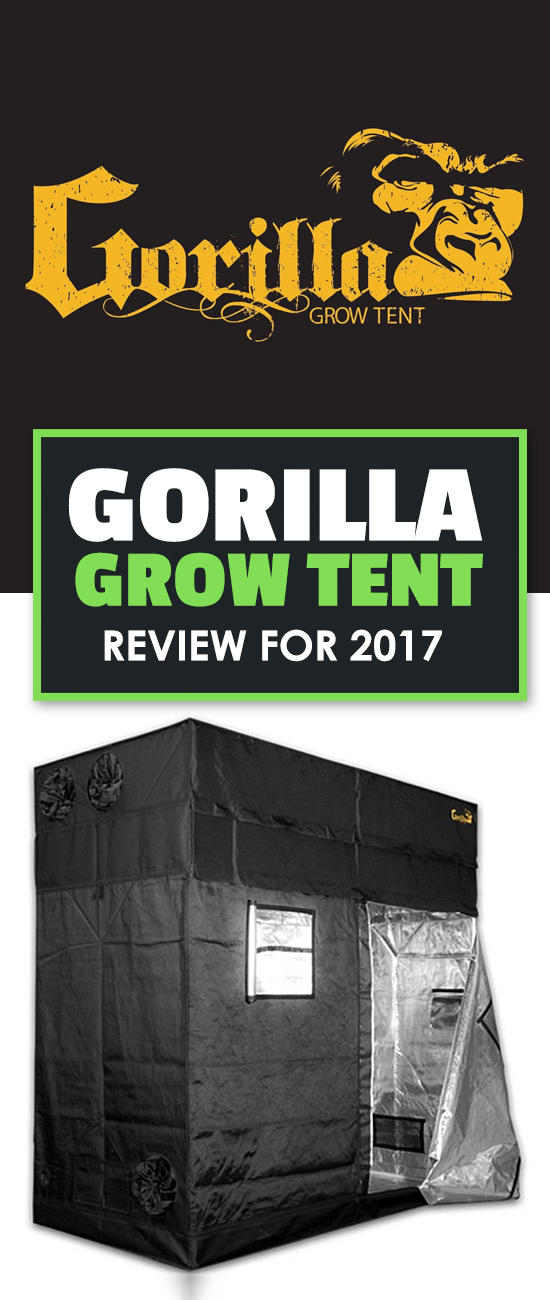 Buying a grow tent is a big and confusing decision. This Gorilla grow tent review shines some light on one of the most popular tent makers out there.