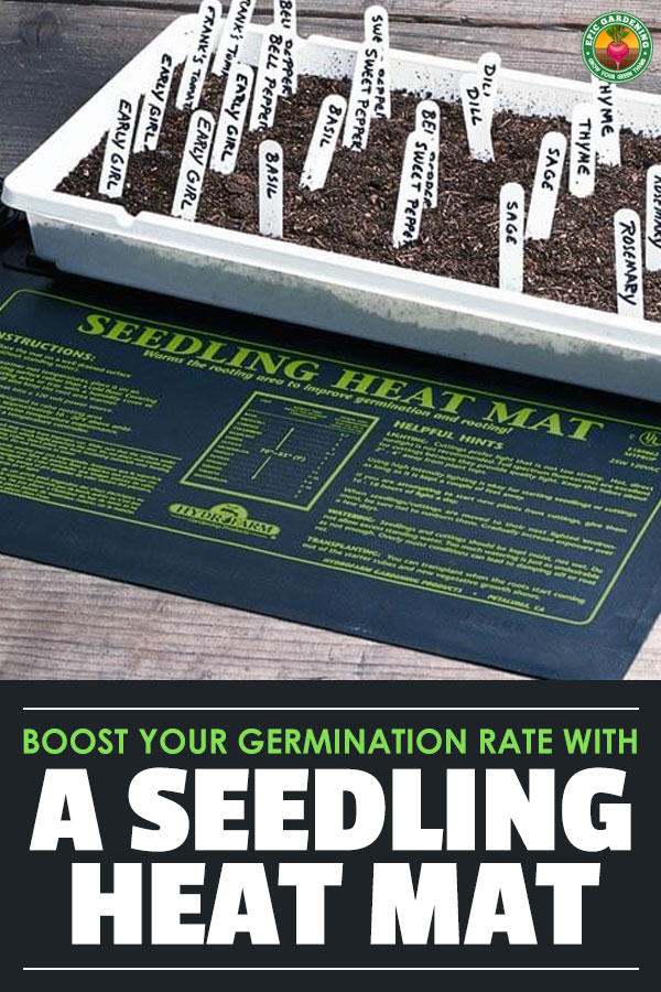 Seeds germinate much better in warm soil, but how do you do that indoors? With a seedling heat mat. Find out how to use them and which are the best here.