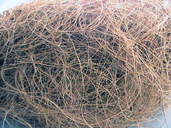 Coco Fibers