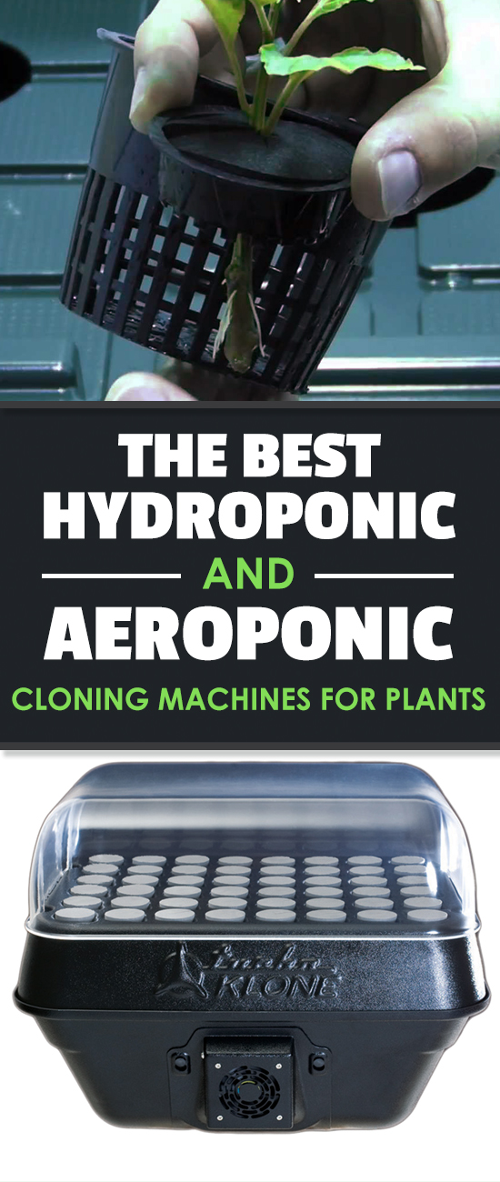 Plant cloning machines make propagation much easier, and the best ones make it an absolute breeze. After testing five, here are the best plant cloners.