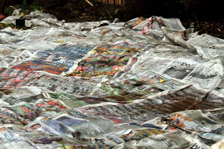 Wet used newspaper mulch