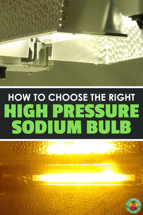 Confused as to which HPS bulb is best? In this article we break them down, recommending 400w, 600w, and 1000w hps bulbs.