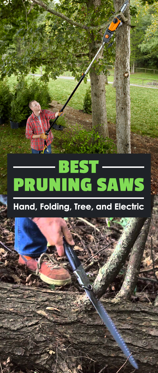 If there\'s one tool gardeners overlook, it\'s the humble pruning saw. See my picks for the best pruning saws as well as the type you should buy.