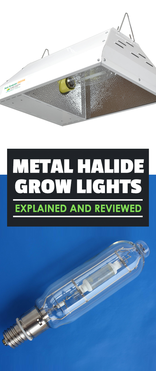 Metal halides are one of the most popular types of grow lights for gardeners...and for good reason. Learn everything you need to know about these lights.