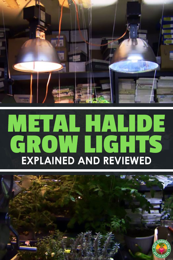 Metal halides are one of the most popular types of grow lights for gardeners...and for good reason. Learn everything you need to know about these lights.