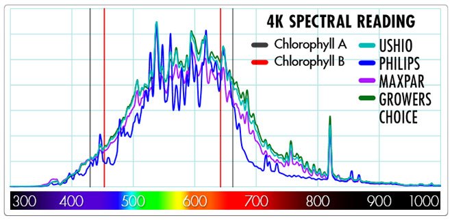 Spectral Reading of 4200K CMH Bulbs