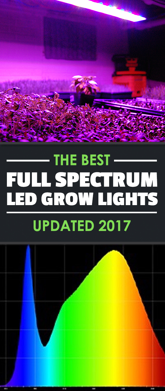 What is a full spectrum LED grow light, and which of the many options are best? In this article we answer both questions for you, so give it a read.