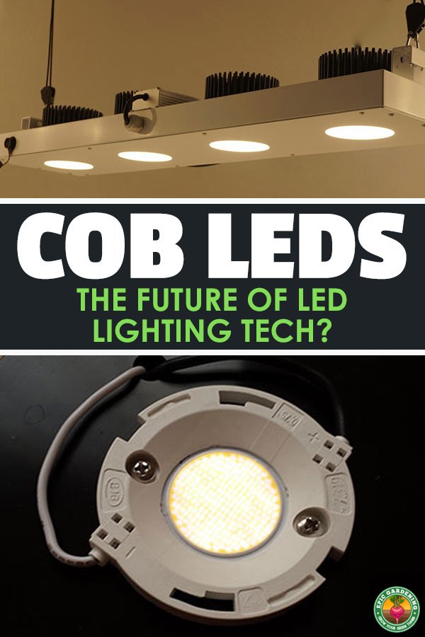 Have you heard about COB LED grow lights and want to know what the fuss is about? Look no further - this guide to COB LEDs is everything you need.