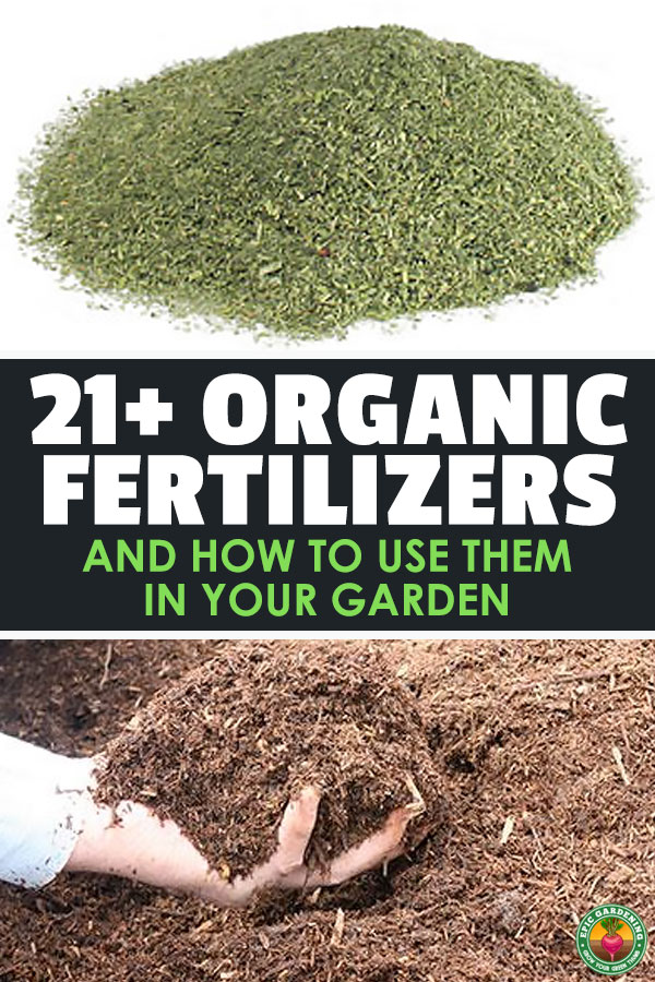 If your plants are struggling to grow, you might need to amend your soil with one or more organic fertilizers. Learn what they are and how to use them here.