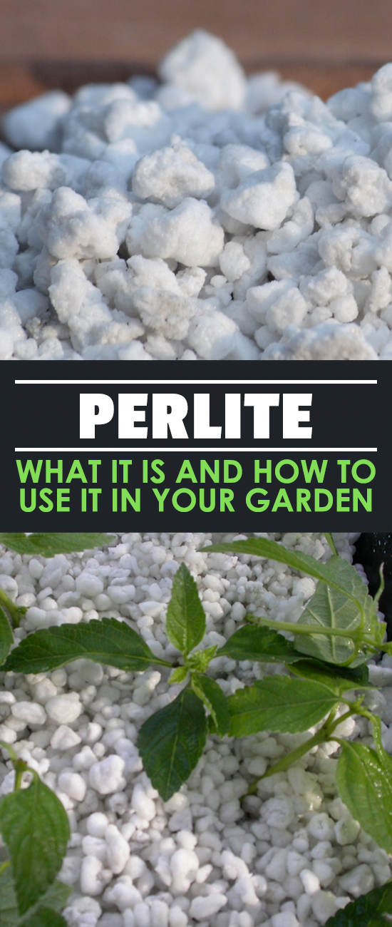 What are those little white specks in your potting mix? Perlite, that's what! Learn what perlite is and how to incorporate it into your gardening here.