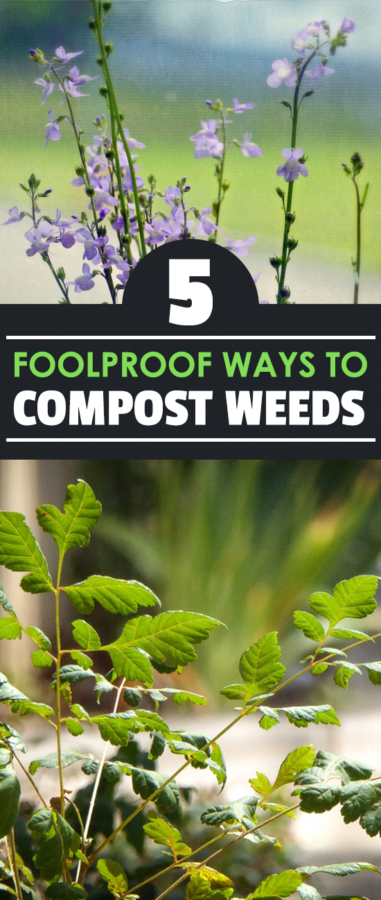 5 Foolproof Ways to Compost Weeds