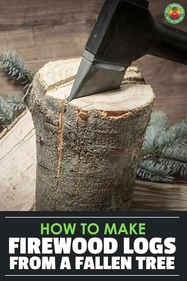 Making firewood logs from a fallen tree is easier than you think, so long as you have the right gear and follow the best safety practices. Learn how here.