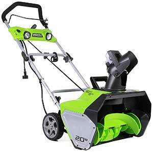 GreenWorks Thrower