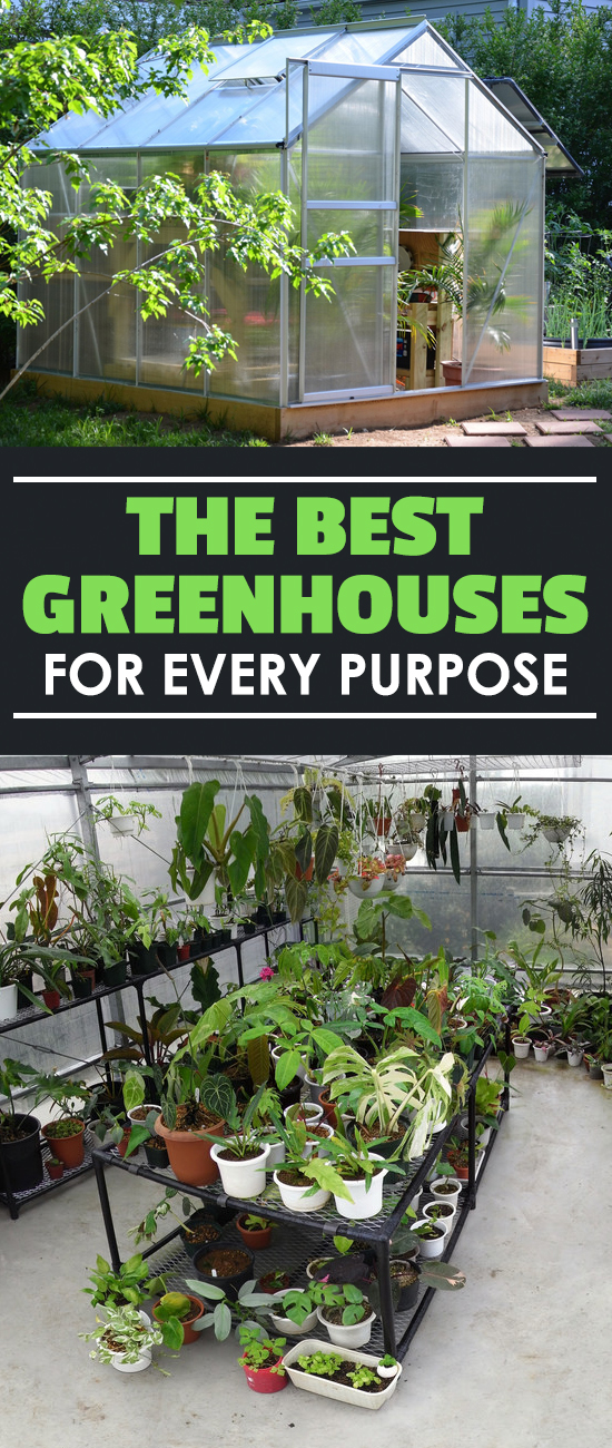 Best Greenhouses ColdWeather Solutions For Your Plants
