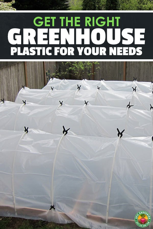So you're building a greenhouse, but don't know what greenhouse plastic to use. Come read all you need to know in our greenhouse film buyer's guide!