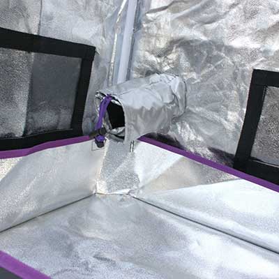 Apollo flood tray
