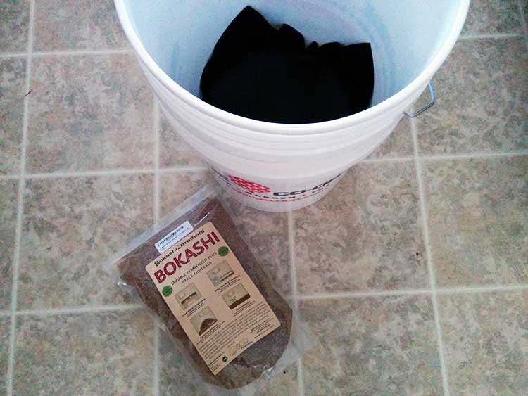 Preparing bokashi bran