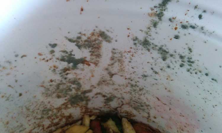 Mold problem visible