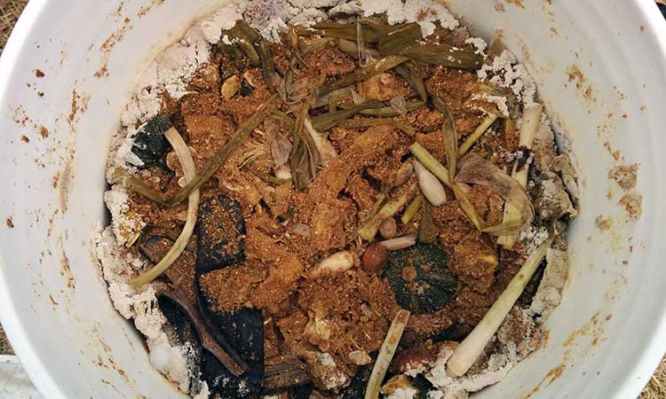 Aged bokashi pre compost