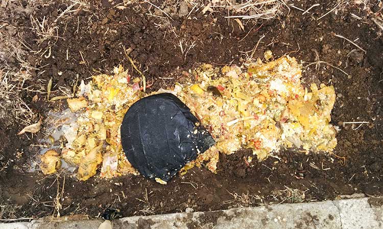 Spreading bokashi precompost in hole