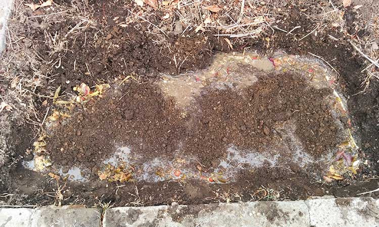Refilling hole and mixing dirt with bokashi