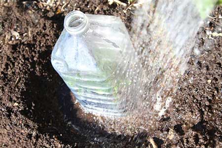 Repurposed Bottle Cloche