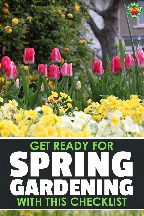 Spring garden maintenance is important for good growth. Find out everything you need to know to get your spring garden off to the best start with our checklist!