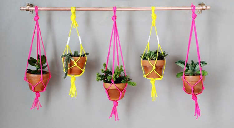 copper pipe plant hanger
