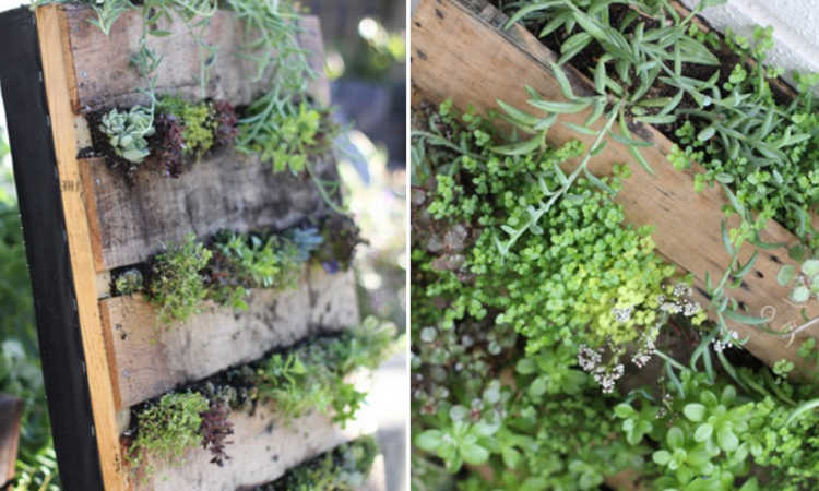 hanging pallet planter
