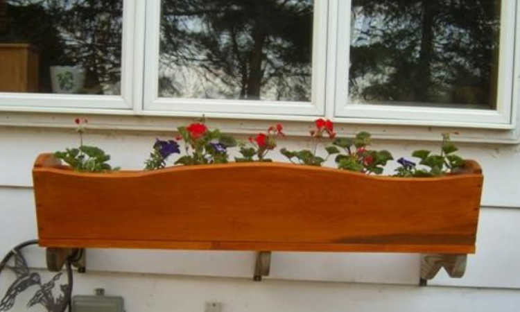 wall mounted window box