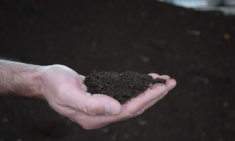 Compost