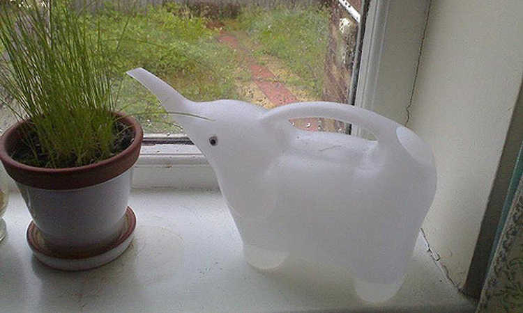 Elephant watering can