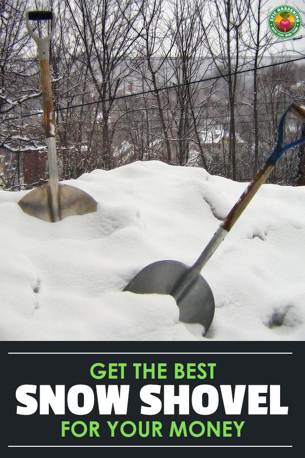 Shopping for a new snow shovel? Learn how to choose the perfect one for your snow-clearing needs with our buyer's guide!
