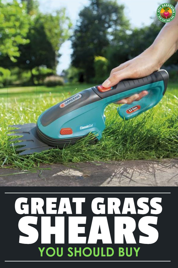 Unruly weeds or tall grass getting you down? Do you have places where your mower and string trimmer can't reach? You need the best grass shears you can find! I'll help you choose the right ones for you.