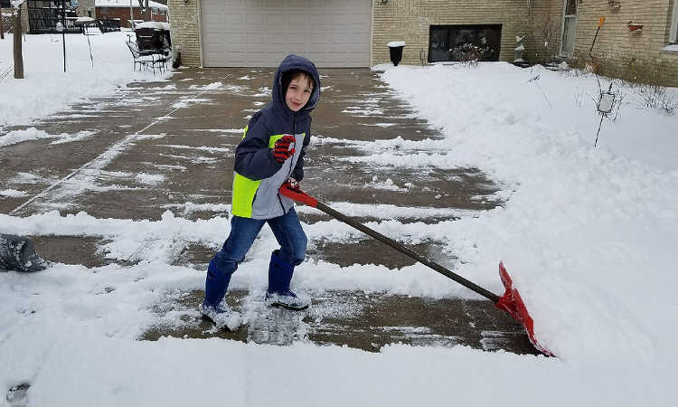 Snow pusher