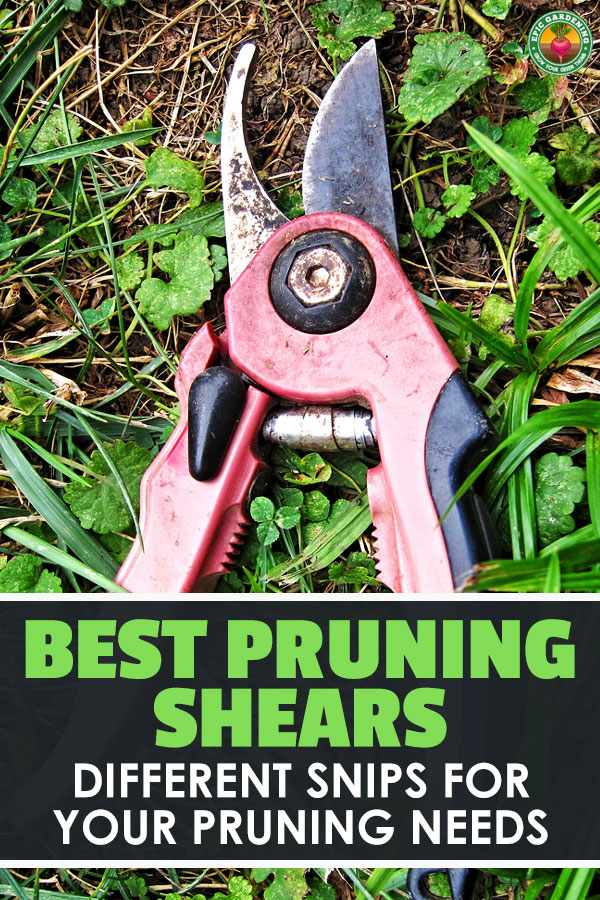 Pruning is a necessity, and you need the best pruning shears for your task. Learn all about these common tools and how to pick the best with our buyer\'s guide!