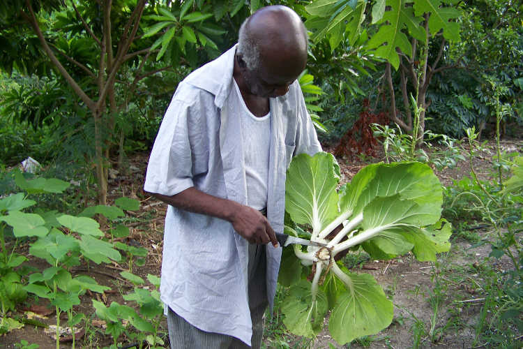 Trimming produce