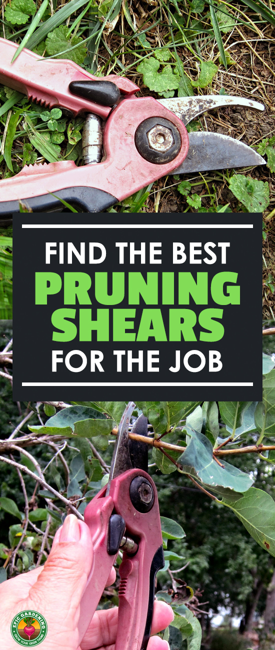 Pruning is a necessity, and you need the best pruning shears for your task. Learn all about these common tools and how to pick the best with our buyer's guide!
