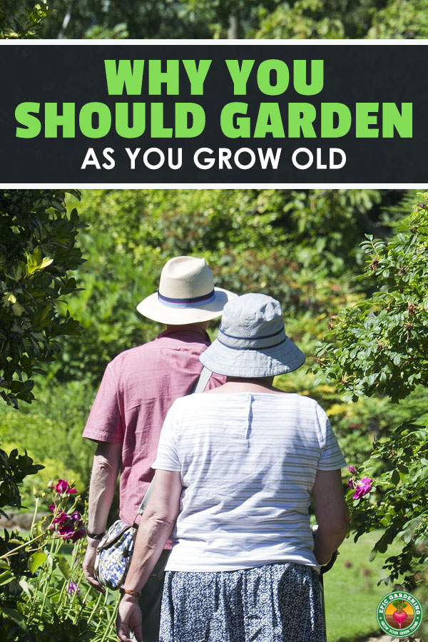 Don't give up your garden as you grow old! Elderly gardening is a great source of physical activity and mental stimulation. Read all about the amazing benefits here!